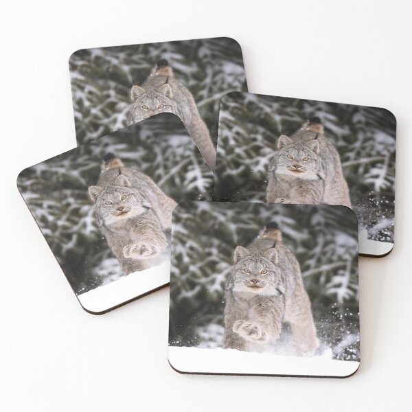 Item preview, Canada Lynx Pursuit designed and sold by mlorenz.