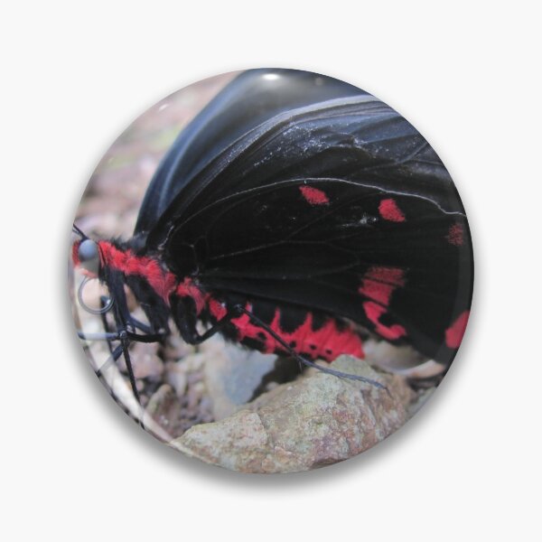 Item preview, Black Beauty designed and sold by KensLensDesigns.