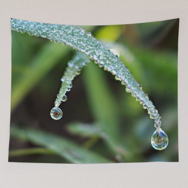Item preview, Crossing Over designed and sold by inlightimagery.