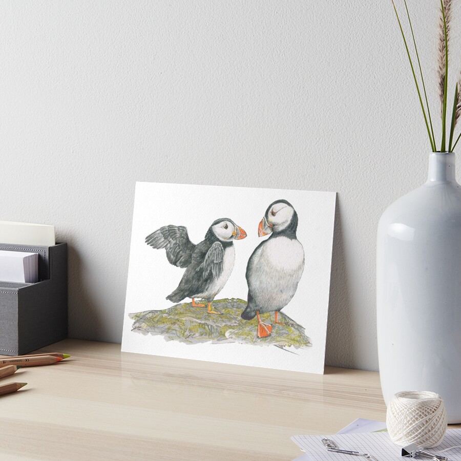Puffins by Mary Fleeson Art Board Print