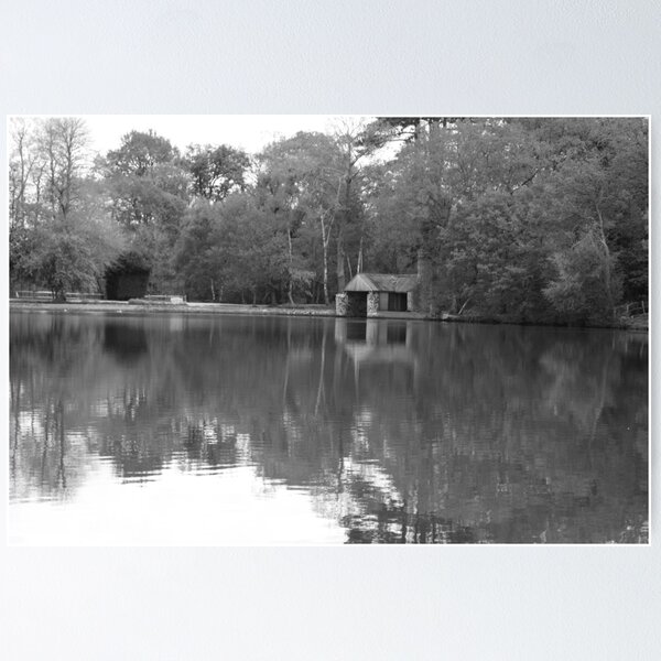 Item preview, Buchan B&W designed and sold by rileyfbrooks.