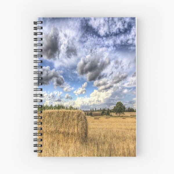 Item preview, Summer Straw Bales designed and sold by Londonimages.