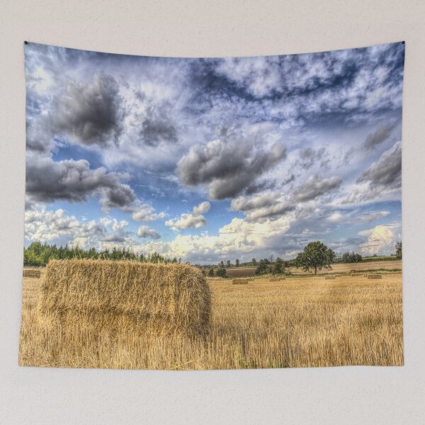 Item preview, Summer Straw Bales designed and sold by Londonimages.