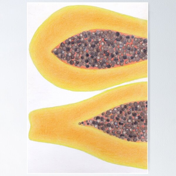 Item preview, Papaya - Coloured Pencil Drawing designed and sold by MikkiDashDesign.