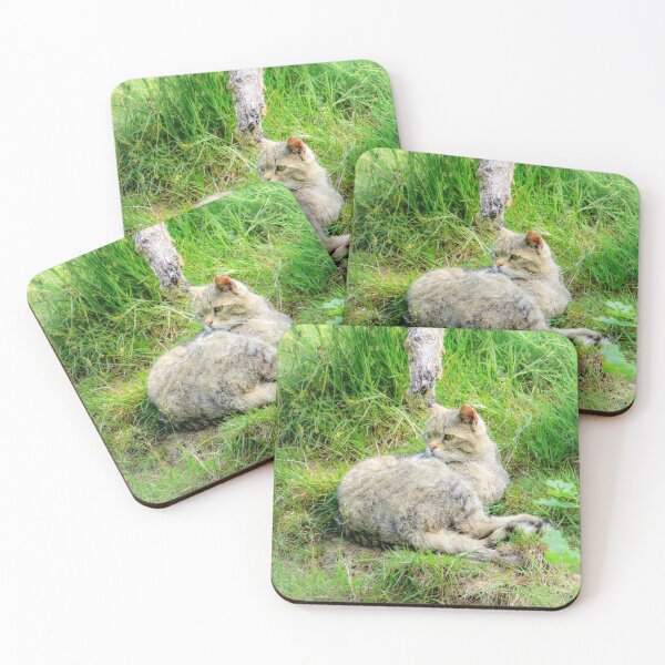 Item preview, Relaxed wildcat - wildlife photography designed and sold by MarionsArt.