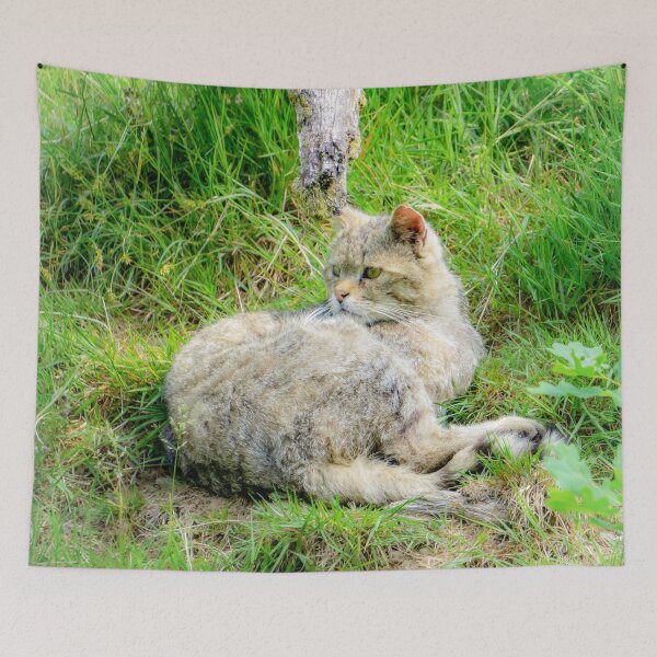 Item preview, Relaxed wildcat - wildlife photography designed and sold by MarionsArt.