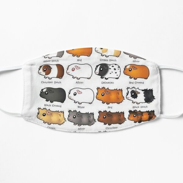 Guinea Pig – Cavy Collection – Model 08 Flat Mask