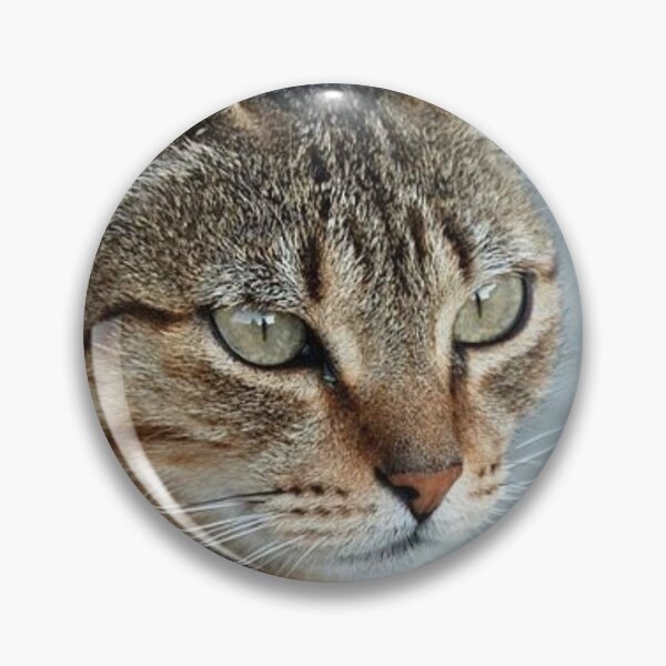 Item preview, Stunning Tabby Cat CloseUp Photo Portrait designed and sold by taiche.