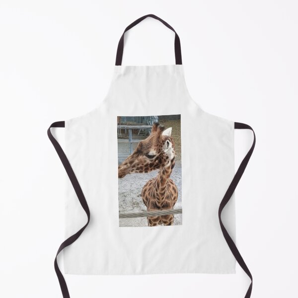 Item preview, Up close with a Giraffe - Blackpool Zoo Giraffe designed and sold by Scottish Photography .