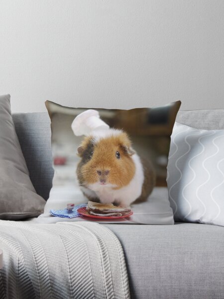 Guinea pig cushions best sale