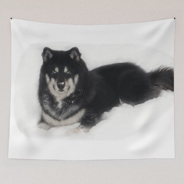 Item preview, Husky designed and sold by Chelsea Reef-Douglas.