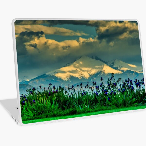 Item preview, Retour des promesses d'été - Iris Sunrise designed and sold by Gregory J Summers.
