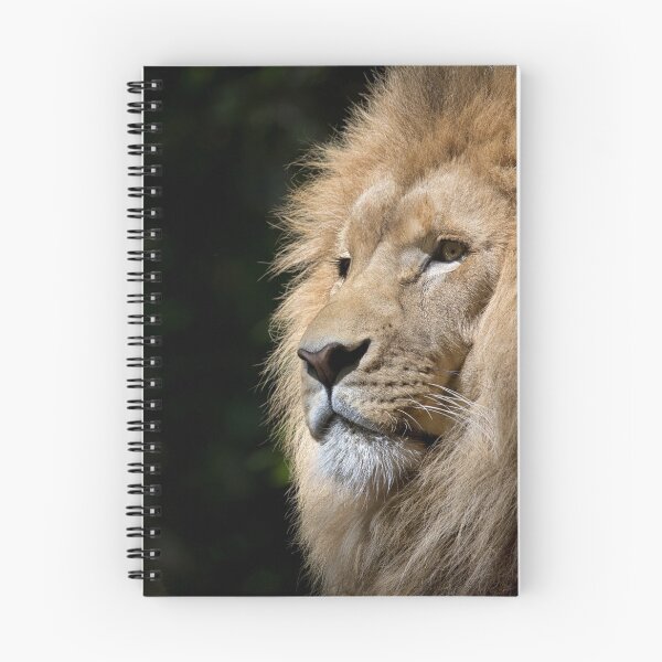 Item preview, Lion designed and sold by Rozh112000.