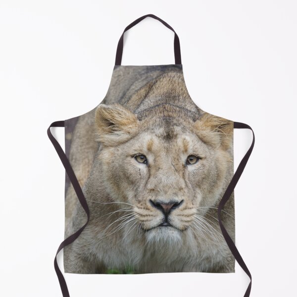 Item preview, Lion 009 designed and sold by JAMFoto.