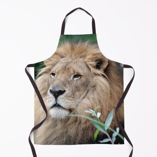 Item preview, Lion 021 designed and sold by JAMFoto.