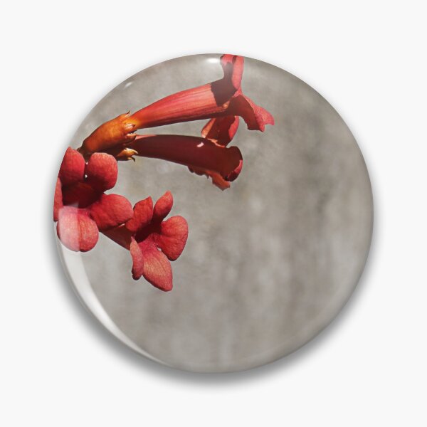 Item preview, Now hear this. designed and sold by Paul Pasco.