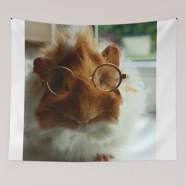 Item preview,  también conocido como cavy o cavy doméstico designed and sold by Coolstuff4you71.
