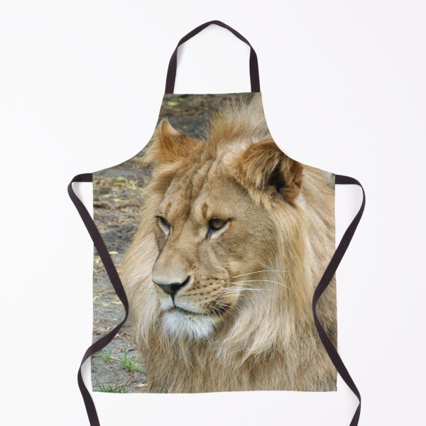 Item preview, Lion 011 designed and sold by JAMFoto.