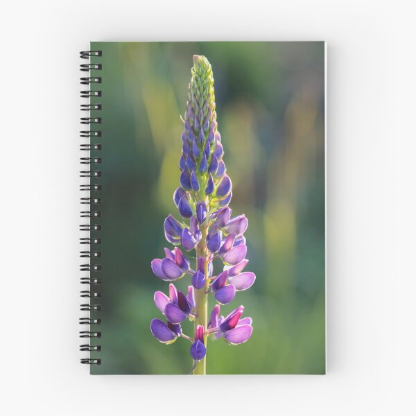 Item preview, Lupinus designed and sold by John Ray.