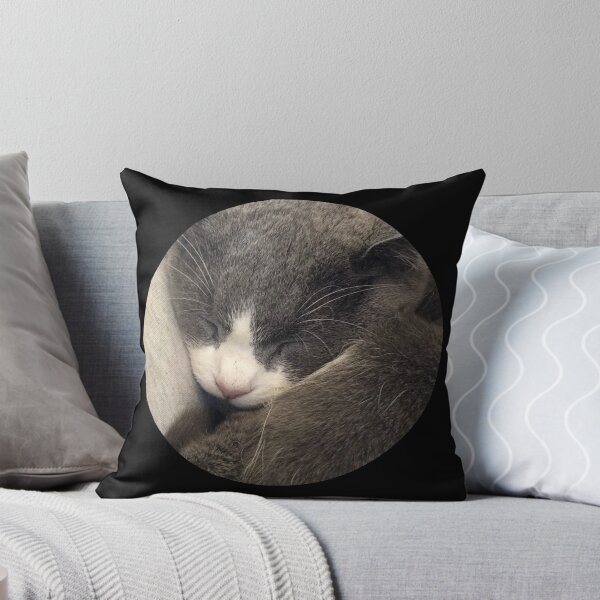 Item preview, Sleeping Cat / Pictures of My Life designed and sold by Nathalie Aynié.