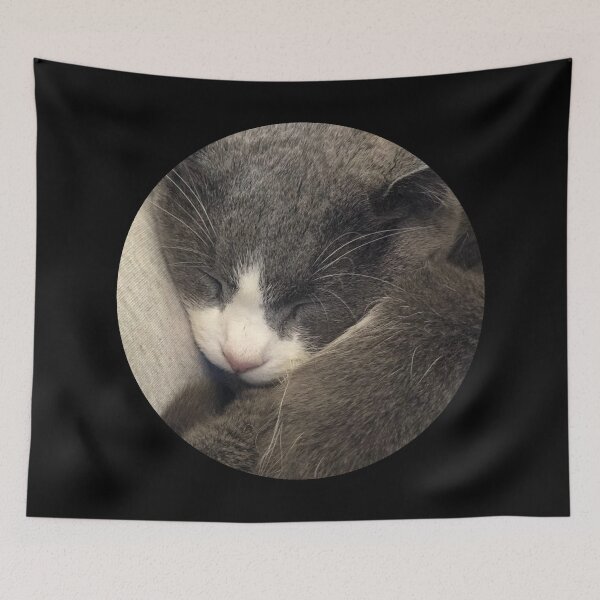 Item preview, Sleeping Cat / Pictures of My Life designed and sold by Nathalie Aynié.