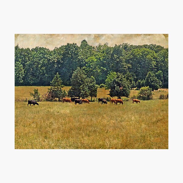 Item preview, Pastoral designed and sold by MotherNature2.