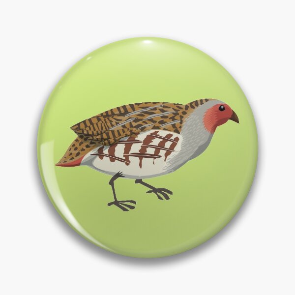 Item preview, Partridge, game bird, realistic illustration designed and sold by SleepyMarten.