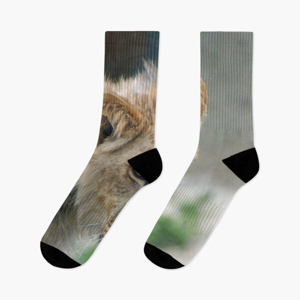 Item preview, Lion 029 designed and sold by JAMFoto.