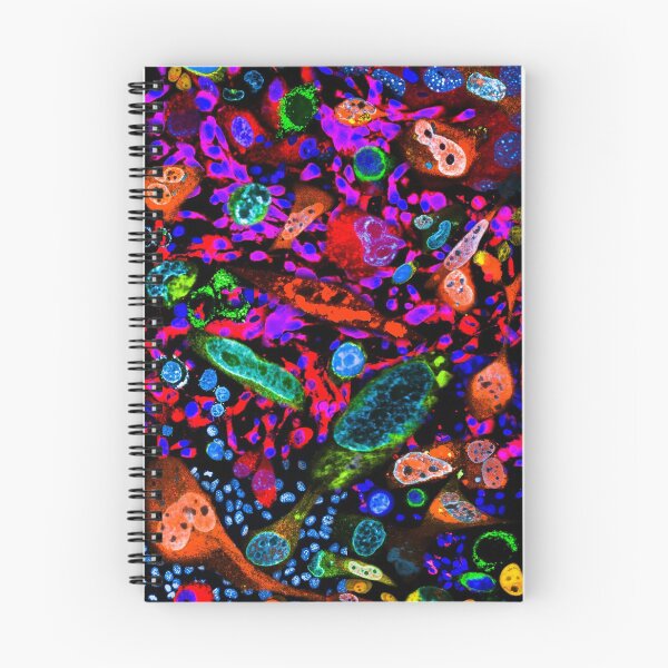 Item preview, HeLa Cells  designed and sold by jeremyriveraart.