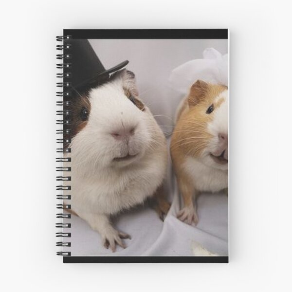 Aperçu de l'œuvre également connu sous le nom de cavy ou cavy domestique créée et vendue par Coolstuff4you71.