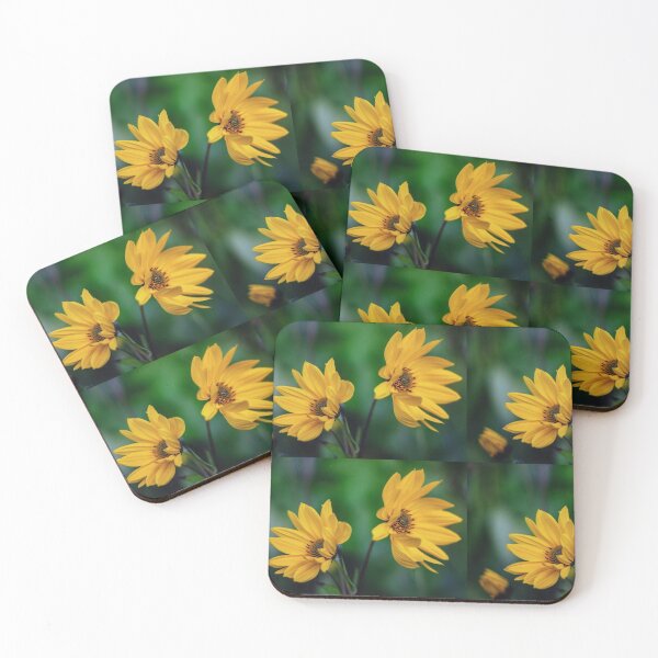 Item preview, Coreopsis. designed and sold by John Ray.