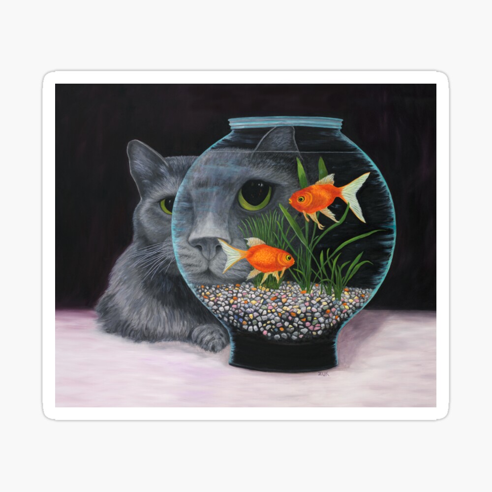 cat goldfish