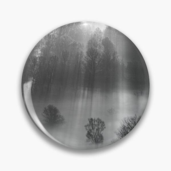 Item preview, Sun rays through the trees designed and sold by pietrofoto.