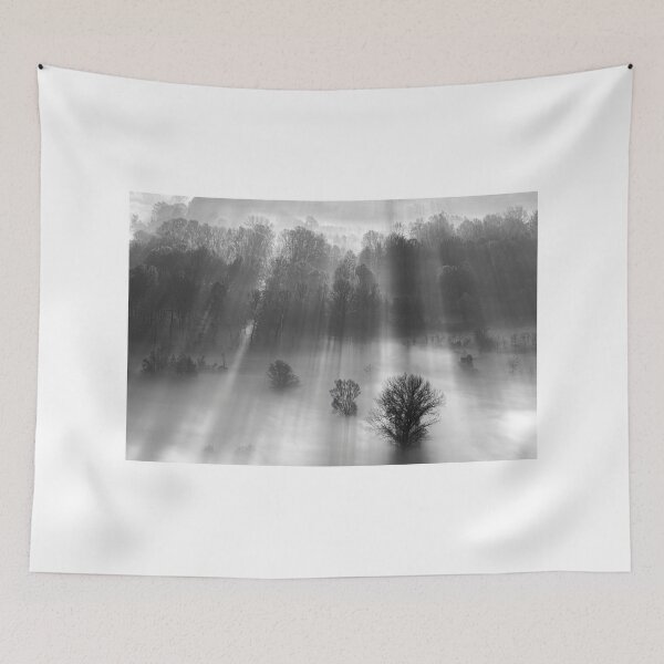 Item preview, Sun rays through the trees designed and sold by pietrofoto.