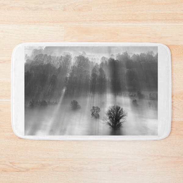 Item preview, Sun rays through the trees designed and sold by pietrofoto.