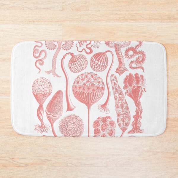 Item preview,  Art forms of nature designed and sold by neteor.