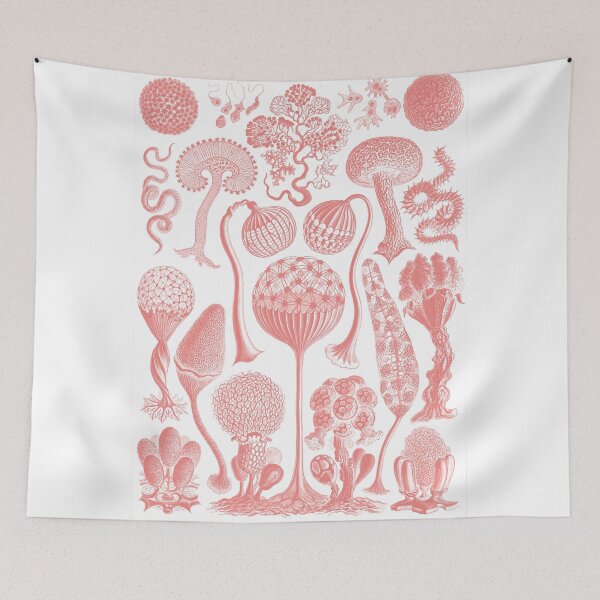 Item preview,  Art forms of nature designed and sold by neteor.