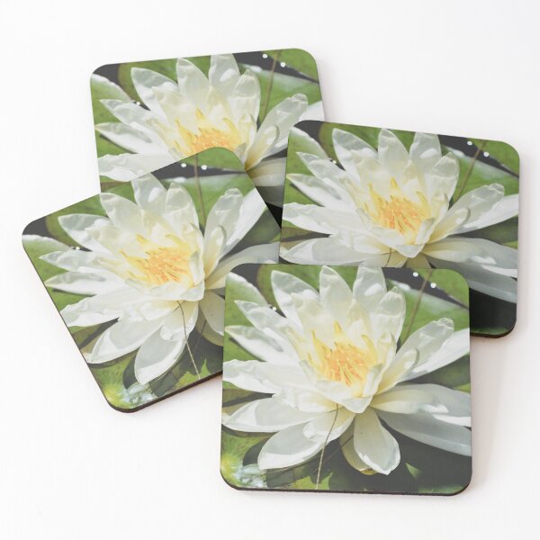 Item preview, Simple White Water Lily Green Pads Photograph designed and sold by artskye.