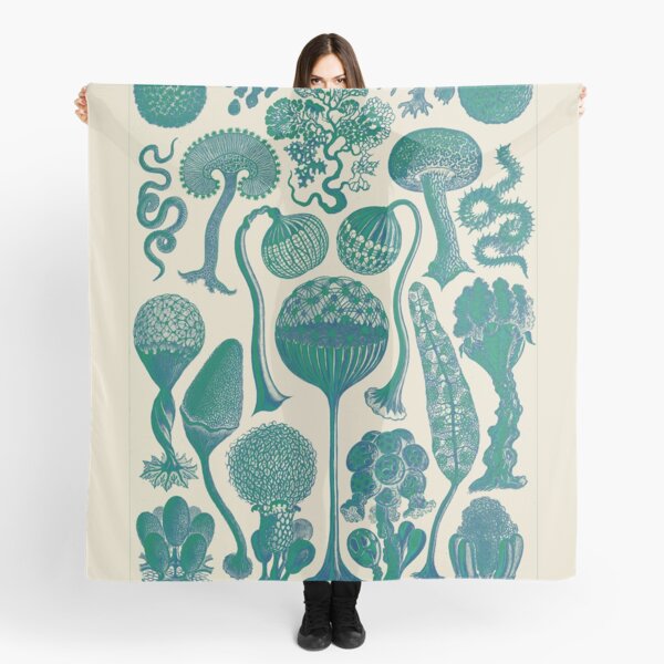 Art forms of nature Scarf