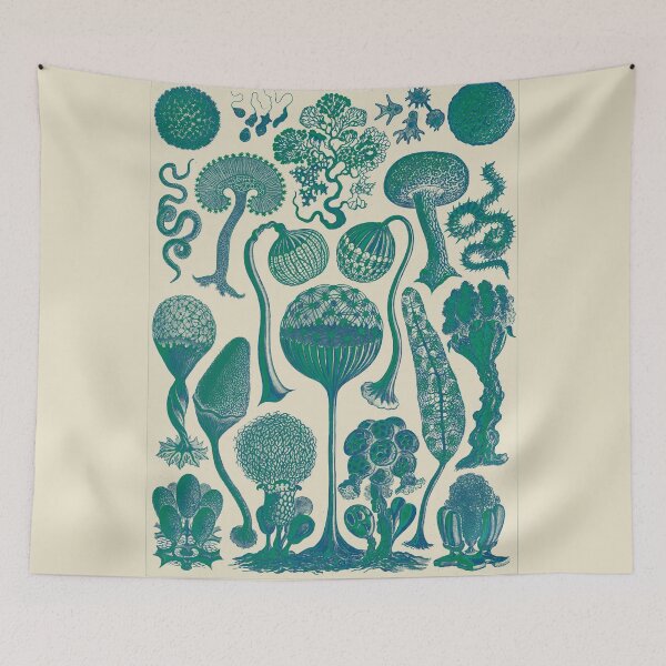 Item preview,  Art forms of nature designed and sold by neteor.