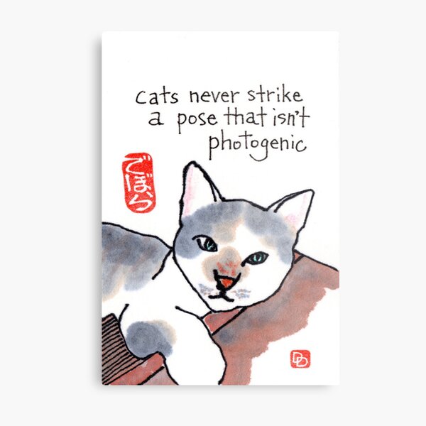 Photogenic Cat Metal Print