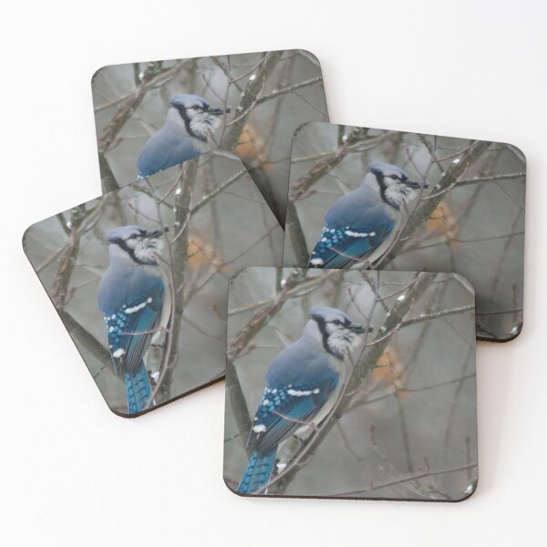 Item preview, Blue Jay perched in a tree  designed and sold by rodmacpherson.