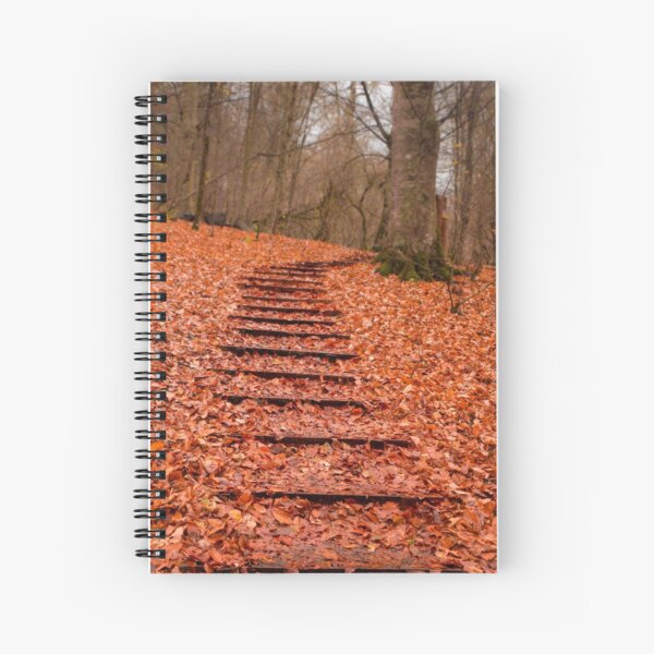Item preview, Stairs covered with leaves designed and sold by hayrettinsokmen.