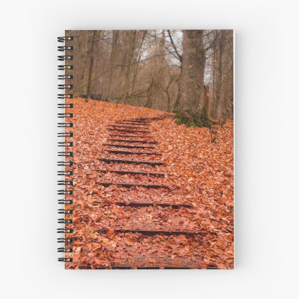 Item preview, Stairs covered with leaves designed and sold by hayrettinsokmen.