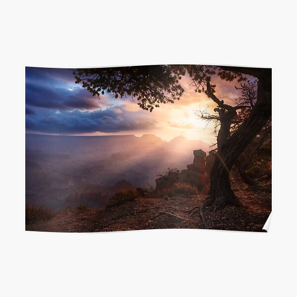 Yaki Point Poster