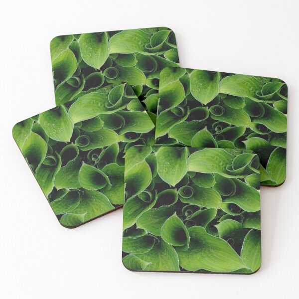 Item preview, Happy Hostas With Dew Drops designed and sold by Kathilee.