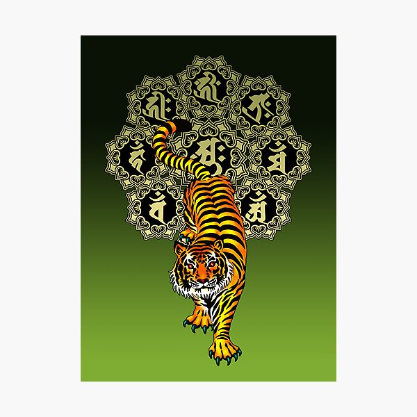 Tiger Bonji Photographic Print