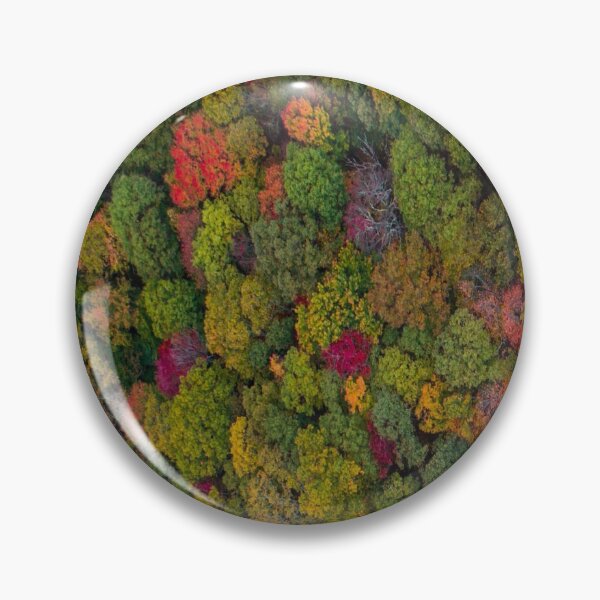 Item preview, Colorful Forest in Summer designed and sold by So Witcasm ?.