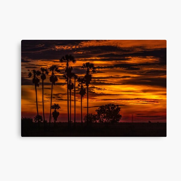 Cambodian Sunset Canvas Print