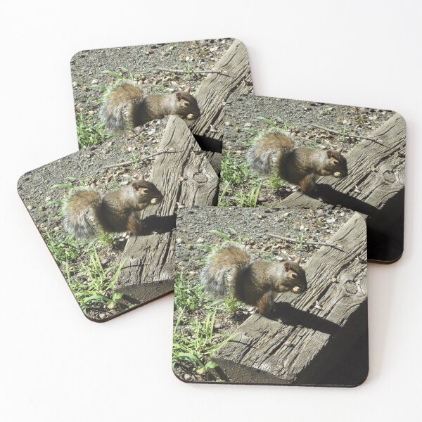 Item preview, Portrait of Nature: Squirrel designed and sold by JWDanielson.